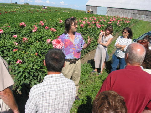 'Visite de la plantation de dahlias